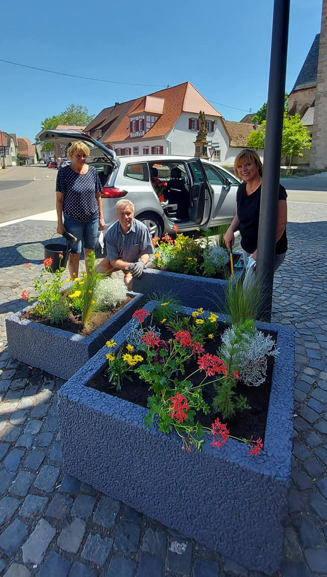 Sommerbepflanzung geht weiter